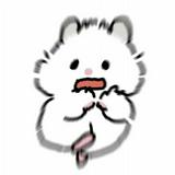 由 tcryfgvx (刊登 ID 1384162939，圖片 1) 提交，位於 的 (類別：)，說明：。