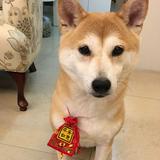 由 jolieprincess (刊登 ID 1386656201，圖片 1) 提交，位於 的 (類別：)，說明：。