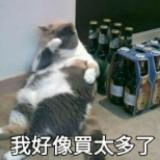 由 7yayayaya (刊登 ID 1384006384，圖片 1) 提交，位於 的 (類別：)，說明：。