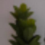 (Category: ) located in . Submitted by newpaaaws (Listing ID 1379258706, Image 1). Description: .