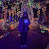 由 annannzebra (刊登 ID 1369130273，圖片 1) 提交，位於 的 (類別：)，說明：。