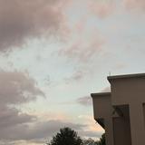 (Category: ) located in . Submitted by shoppingbuy101 (Listing ID 1384505826, Image 1). Description: .