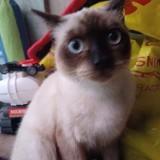(Category: ) located in . Submitted by cedrick29 (Listing ID 1386520009, Image 1). Description: .
