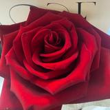 (Category: ) located in . Submitted by justmala (Listing ID 1300423020, Image 1). Description: .