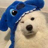 （分類：）位於 。 由 lilyleeksj 提交（商品編號 1379737921，圖片 1）。簡介： 。