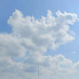 (Category: ) located in . Submitted by pls_buy_ (Listing ID 1378994446, Image 1). Description: .
