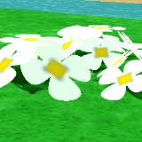 (Category: ) located in . Submitted by rynduzek90 (Listing ID 1384170263, Image 1). Description: .