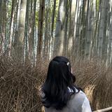 由 nm2000998 (刊登 ID 1384180455，圖片 1) 提交，位於 的 (類別：)，說明：。