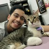 (Kategori: ) berada di . Dikirim oleh pradityawan (ID iklan 1361346098, Gambar 1). Deskripsi: .