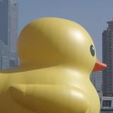 由 yyyjou (刊登 ID 1303579873，圖片 1) 提交，位於 的 (類別：)，說明：。