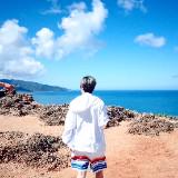 由 mielednpc (刊登 ID 1382053922，圖片 1) 提交，位於 的 (類別：)，說明：。