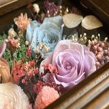 (分類:)位於 。 由 mylittlegarden2016 提交(商品編號 1453002143,圖片 1)。簡介: 。