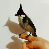 （分類：）位於 。 由 cute_little_stuff 提交（商品編號 1344387687，圖片 1）。簡介： 。