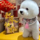 由 cola5230 (刊登 ID 1383682457，圖片 1) 提交，位於 的 (類別：)，說明：。