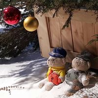 (Category: ) located in . Submitted by pstan8153 (Listing ID 1377434007, Image 1). Description: .