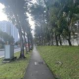(Category: ) located in . Submitted by cantra (Listing ID 1377402289, Image 1). Description: .