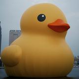 由 wenwen2__ (刊登 ID 1384588158，圖片 1) 提交，位於 的 (類別：)，說明：。