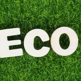 (Category: ) located in . Submitted by ecoshoppes (Listing ID 1381046315, Image 1). Description: .