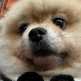 (Category: ) located in . Submitted by charmingbk (Listing ID 1371000773, Image 1). Description: .