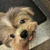 (Category: ) located in . Submitted by mumfoundmystash (Listing ID 1436493955, Image 1). Description: .