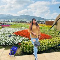 由 melissabri64784 (刊登 ID 1375972544，圖片 1) 提交，位於 的 (類別：)，說明：。