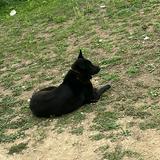 （分類：）位於 。 由 crystal.meow 提交（商品編號 1340682811，圖片 1）。簡介： 。