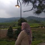 (Kategori: ) berada di . Dikirim oleh veve1112 (ID iklan 1304245122, Gambar 1). Deskripsi: .