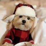 (Category: ) located in . Submitted by beezyweely (Listing ID 1373429939, Image 1). Description: .