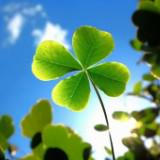 (分類:)位於 。 由 goodluck2u 提交(商品編號 1452584687,圖片 1)。簡介: 。