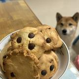 由 lilyyyyyy1111 (刊登 ID 1340239942，圖片 1) 提交，位於 的 (類別：)，說明：。