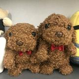 （分類：）位於 。 由 greenwowb 提交（商品編號 1313324776，圖片 1）。簡介： 。