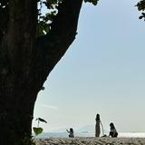 (分類:)位於 。 由 damalorac 提交(商品編號 1291156113,圖片 1)。簡介: 。