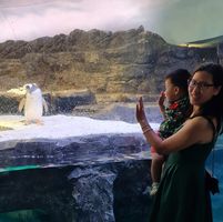 (Category: ) located in . Submitted by lvfang158498 (Listing ID 1377344315, Image 1). Description: .