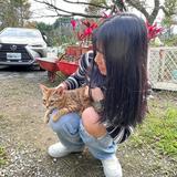 由 wenhui. (刊登 ID 1380350051，圖片 1) 提交，位於 的 (類別：)，說明：。