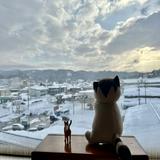 （分類：）位於 。 由 jacob448 提交（商品編號 1141584340，圖片 1）。簡介： 。
