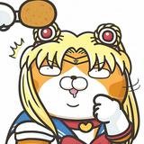 （分類：）位於 。 由 lllittle__princess 提交（商品編號 1378972162，圖片 1）。簡介： 。