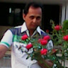 (Category: ) located in . Submitted by mdabdulga69303 (Listing ID 1378683525, Image 1). Description: .