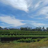 (Kategori: ) berada di . Dikirim oleh mtrprlvd (ID iklan 1379047584, Gambar 1). Deskripsi: .
