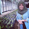 (Kategori: ) berada di . Dikirim oleh yennysund61753 (ID iklan 1351550951, Gambar 1). Deskripsi: .