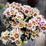 (Kategori: ) berada di . Dikirim oleh prelovedbykekasi07 (ID iklan 1381408134, Gambar 1). Deskripsi: .