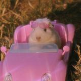 (Category: ) located in . Submitted by pinkhamster (Listing ID 1117191389, Image 1). Description: .