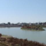 (Category: ) located in . Submitted by universe_nature (Listing ID 1273008784, Image 1). Description: .