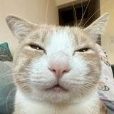 (Category: ) located in . Submitted by pinky.fluff (Listing ID 1373725595, Image 1). Description: .