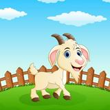 (Category: ) located in . Submitted by luckygoats (Listing ID 1310406145, Image 1). Description: .