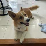 (Category: ) located in . Submitted by wwcer (Listing ID 1331448125, Image 1). Description: .