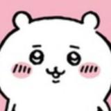 （分類：）位於 。 由 bb_good_sell 提交（商品編號 1385342786，圖片 1）。簡介： 。