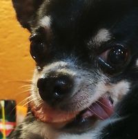 (Category: ) located in . Submitted by jojomengui26850 (Listing ID 1433447263, Image 1). Description: .