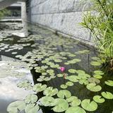 （分類：）位於 。 由 tamsfamily 提交（商品編號 1345145422，圖片 1）。簡介： 。