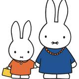 （分類：）位於 。 由 2022miffyshop 提交（商品編號 1343647295，圖片 1）。簡介： 。