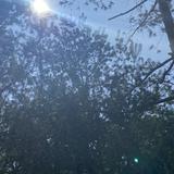 由 iiilllllliii (刊登 ID 1383859099，圖片 1) 提交，位於 的 (類別：)，說明：。